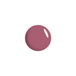 4810438029377_8462_3