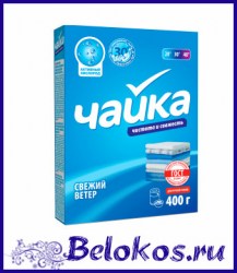 full_chayka-01