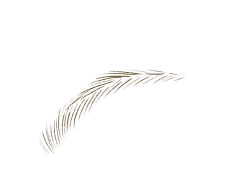 relouis-150425-1_10006_3